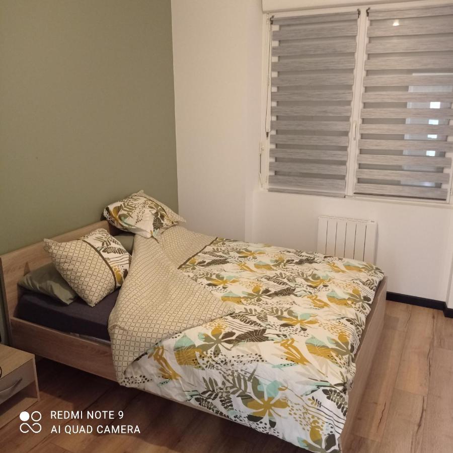 Maisonnette Tout Confort Parking Prive Brest Buitenkant foto
